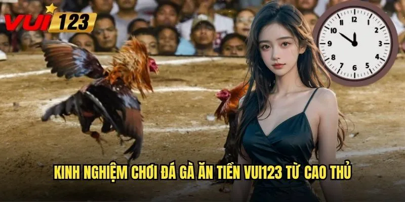 Kinh nghiệm chơi đá gà ăn tiền Vui123 từ cao thủ