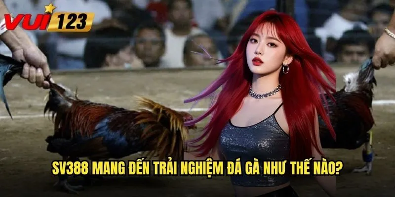 SV388 mang đến trải nghiệm đá gà như thế nào?