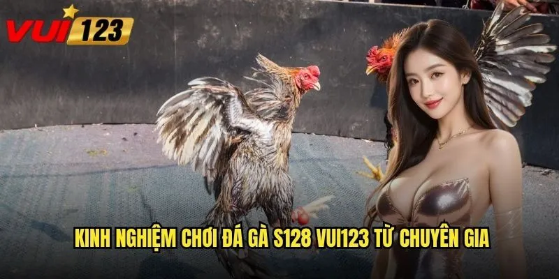 Kinh nghiệm chơi đá gà S128 Vui123 từ chuyên gia