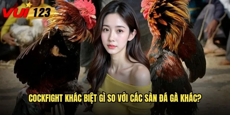 Cockfight khác biệt gì so với các sàn đá gà khác?