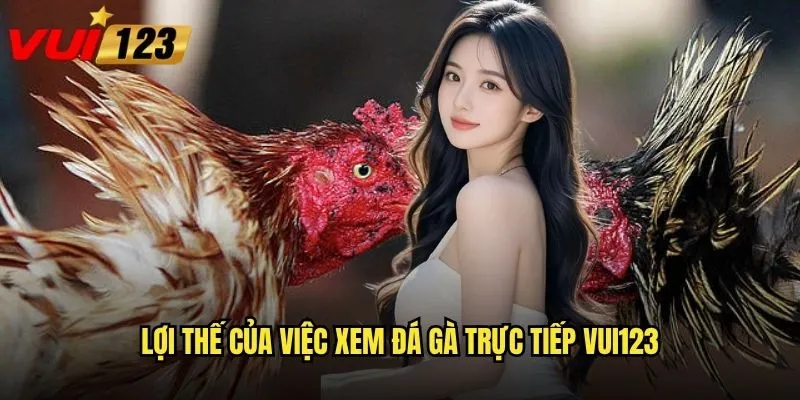 Lợi thế của việc xem đá gà trực tiếp Vui123