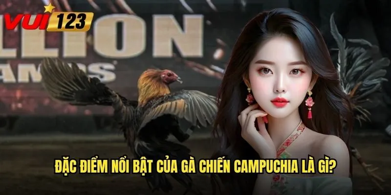 Đặc điểm nổi bật của gà chiến Campuchia là gì?
