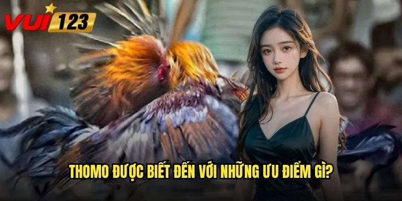 Thomo được biết đến với những ưu điểm gì?