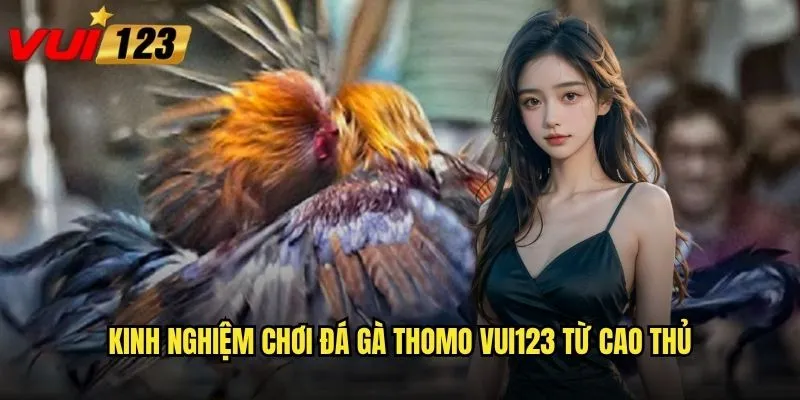 Kinh nghiệm chơi đá gà thomo Vui123 từ cao thủ