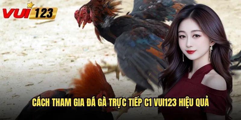 Cách tham gia đá gà trực tiếp C1 Vui123 hiệu quả