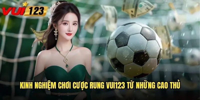 Kinh nghiệm chơi cược rung Vui123 từ những cao thủ