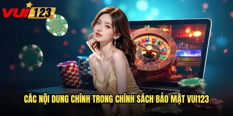 Các nội dung chính trong chính sách bảo mật Vui123